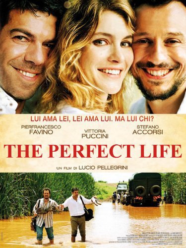 La vida perfecta